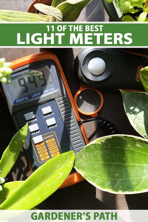 best light meter for plants|app to measure light intensity.